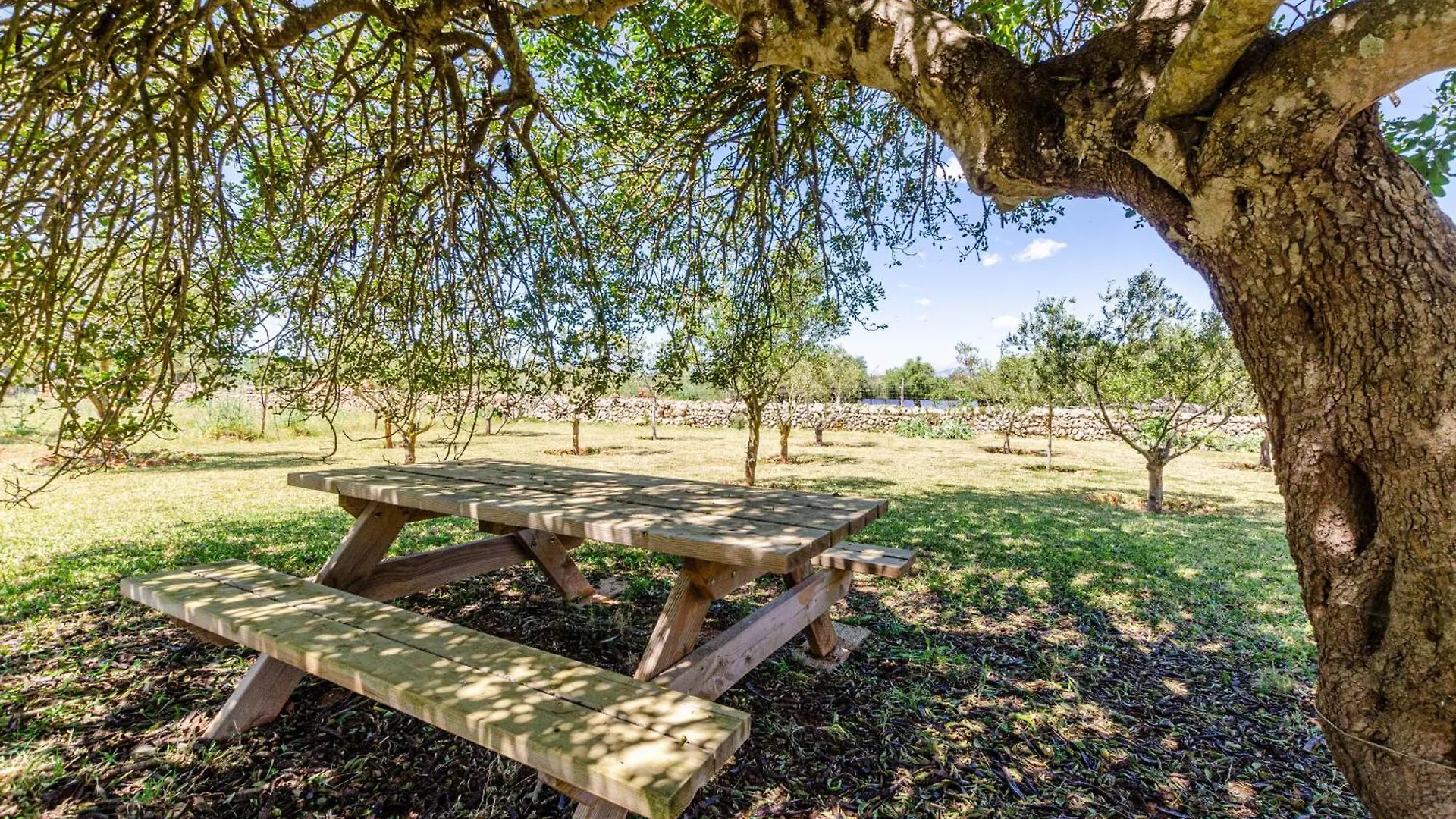 לורט דה ויסטאלגרה Yourhouse Agroturismo Can Porreti La Conillera ספרד